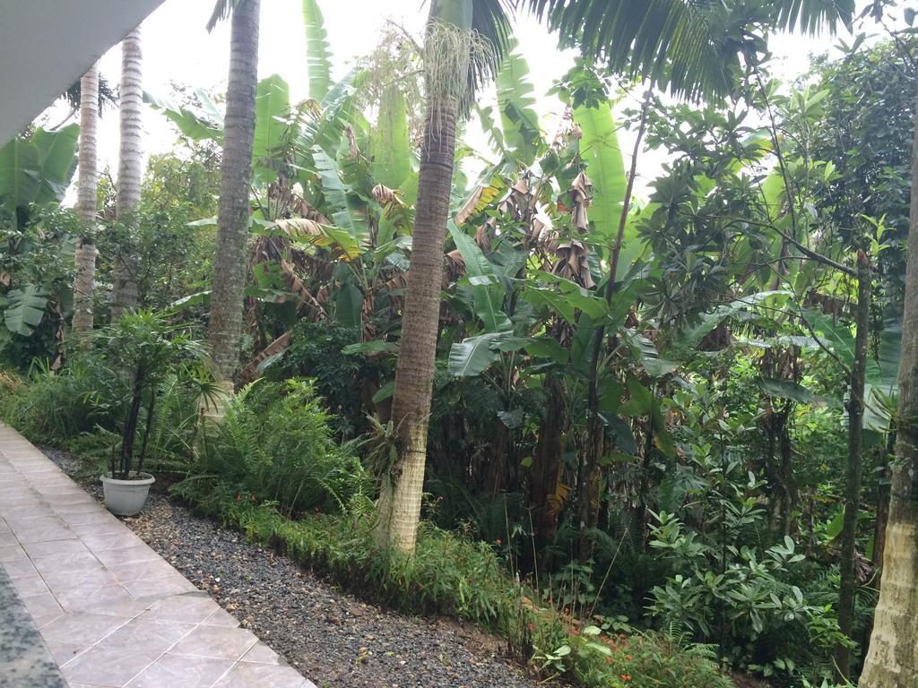 Hotel Pousada Reimar Balneario Camboriu Bagian luar foto
