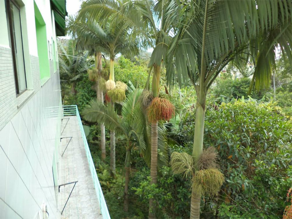 Hotel Pousada Reimar Balneario Camboriu Bagian luar foto